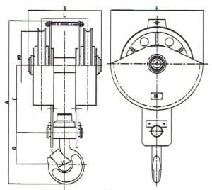 5t